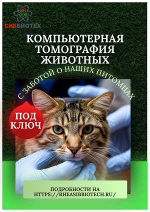 Компьютерная томография