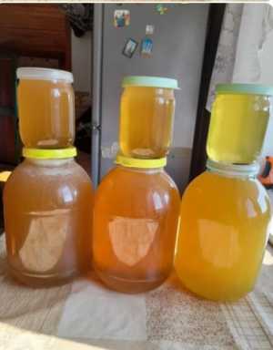 продам мёд