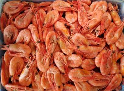 Северные креветки отборные без льда из Мурманска и другие морепродукты