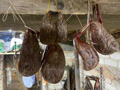 ����� �����