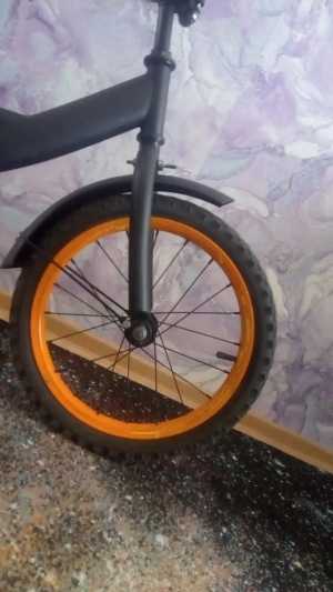 ������ ������� ���������  MaxxpRo �/�. ������������ ����