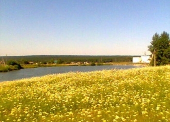Земля 98 соток