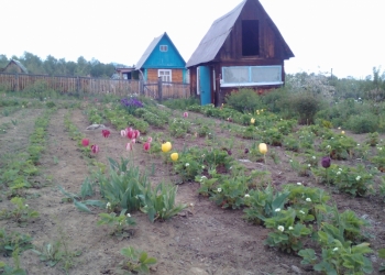 Продам дачу с видом на Байкал