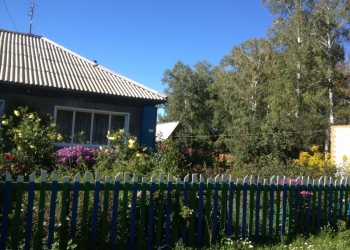 Дом 56 м2 в с.Покровка