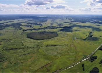 продам 1823 Га земли сельхозназначения в Новосибирской области