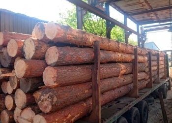 Лескомплект — производство и продажа пиломатериалов.