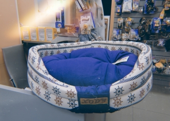 Новый лежак