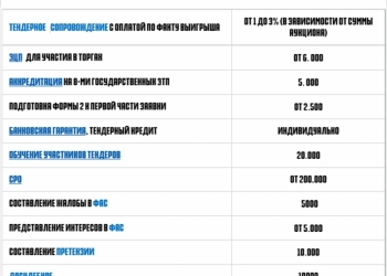 Тендерное сопровождение, госзакупки, эцп, фас, юридические услуги,форма 2
