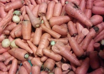 Овощи не стандарт