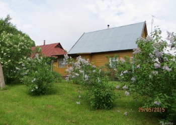 Продам участок 25 соток