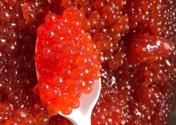 Икра красная и чёрная Морепродукты