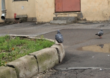 �������������� ����������