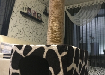 Домики для кошек