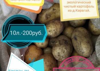 Картофель деревенский