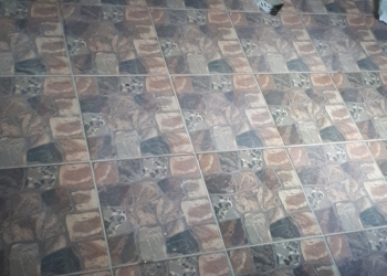 Плиточника