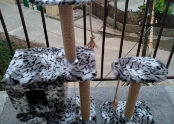 Когтеточки с домиком и без