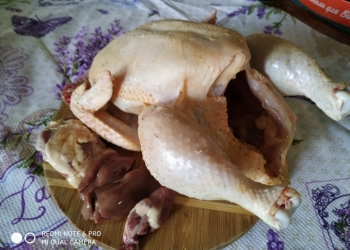 мясо домашней индейки