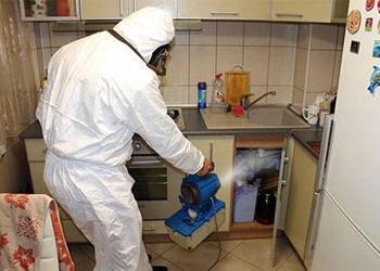 грызунов . Дератизация.