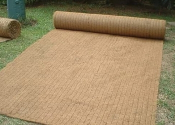 Рулонный газон Биомат