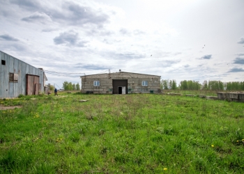 Продам мини ферму