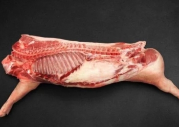 Свинина н/к