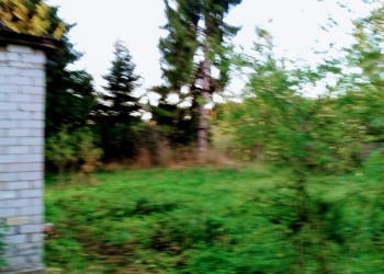 Дом 46 м2
