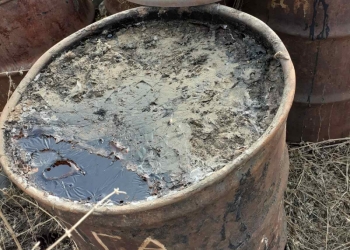 Живица ( смола сосны)