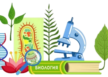РЕПЕТИТОР ПО БИОЛОГИИ И ХИМИИ