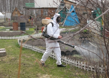 Уничтожение насекомых,тараканов,клопов,блох,клещей,ос,шершней.Плесени.Крыс