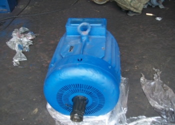 Электродвигатель 4МТМ225М6 (37/955)