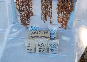 Продажа Ятрышник