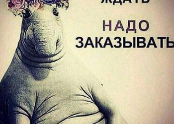 Распив ароматов