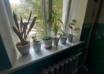 1-к квартира, 30 м2, 3/5 эт.