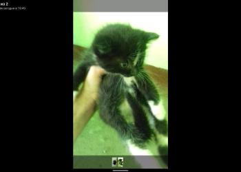 Адрес в хорошо руки