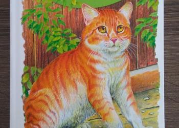 Юрий Ситников "Кот"