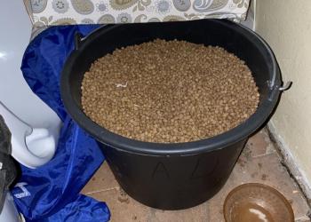 Корм для кошек