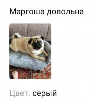 Лежанка - диван 60*40 см для кошек и собак