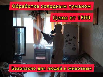 Дезинфекция, дезинсекция, уничтожение тараканов, клопов, мышей