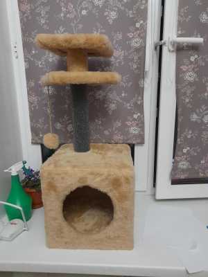 Домик для кошек