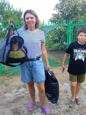 Доставка животных