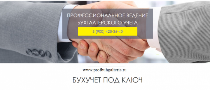 Профессиональное ведение бухгалтерского учета