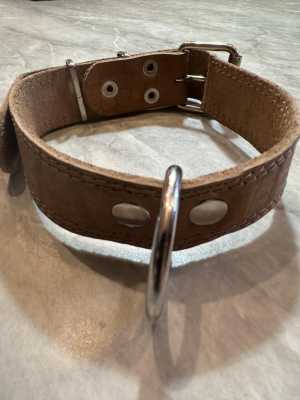 Ошейник для собак