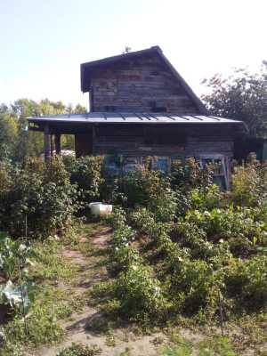 Продам дачу