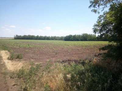Предлагается к продаже сельхоз участок (Фермерская Усадьба).