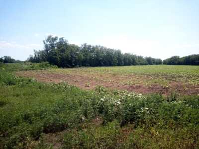 Предлагается к продаже сельхоз участок (Фермерская Усадьба).