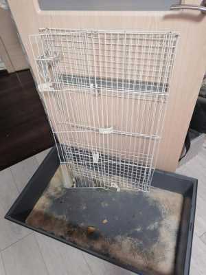 Клетка для морских свинок