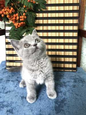 ���������� ������