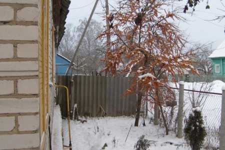 3-� ��������, 56 �2, 1/1 ��. ���������� ���., �. �����, ��. ���������, �.8 ��2