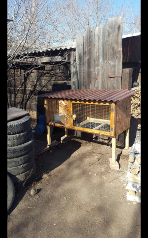 Клетка для кроликов