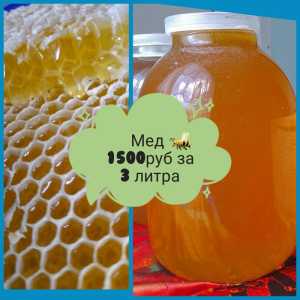 Мёд